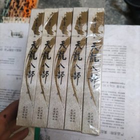 天龙八部：新修文库本（全5册）