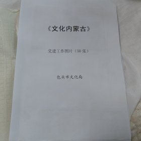 《文化内蒙古》党建工作图片（50张）–包头市文化局（内缺4张，存46张）