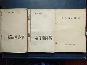 《新诗潮诗集》上、下两册+《青年诗人谈诗》一册