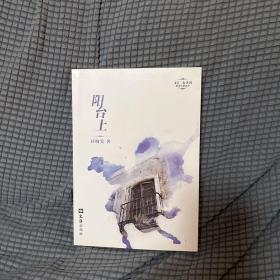 阳台上：—文汇.麦杰珂新锐作家系列