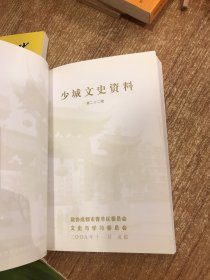 少城文史资料:第二十一辑，第二十二辑，第二十四辑3本合售