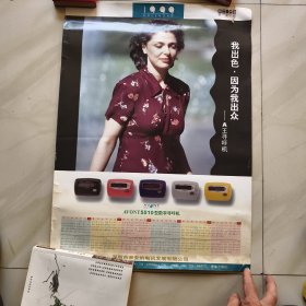 AVNT5510型数字寻呼机 广告画