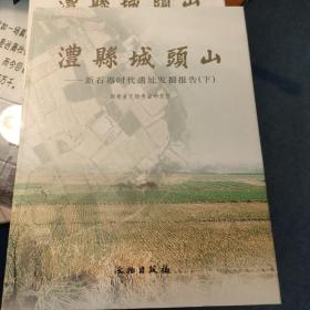 澧县城头山——新石器时代遗址发掘报告（全三册）