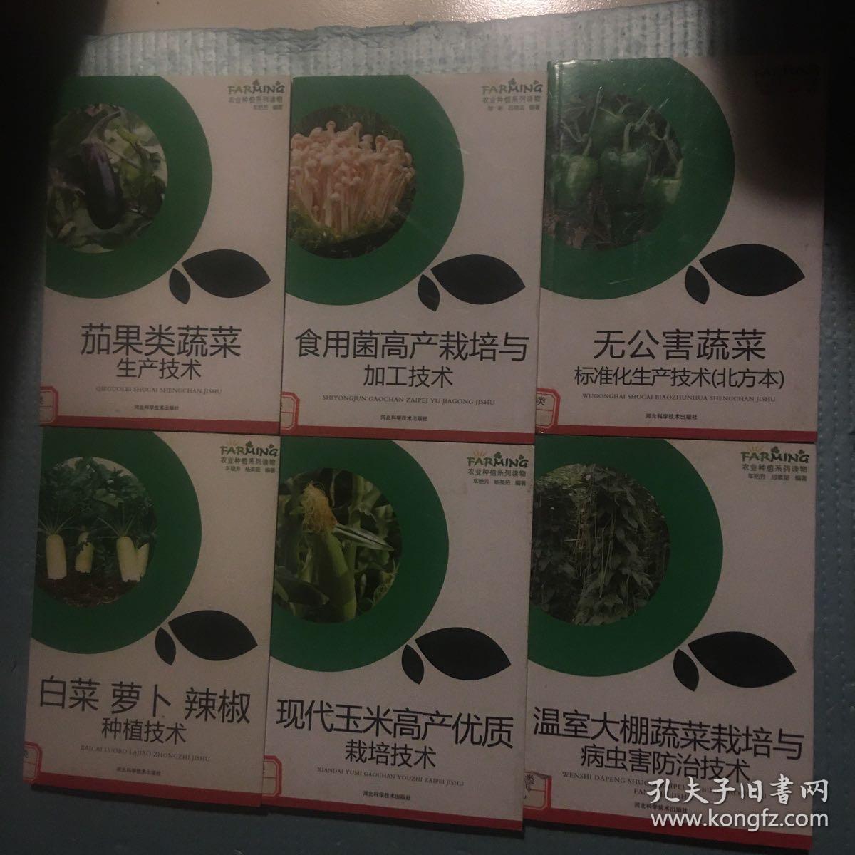 无公害蔬菜标准化生产技术（北方本）．茄果类蔬菜生产技术．食用菌高产栽培与加工技术．白菜萝卜辣椒种植技术．现代玉米高产优质栽培技术．温室大棚蔬菜栽培与病虫害防治技术【六册合售】