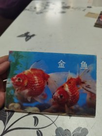 金鱼明信片 10张
