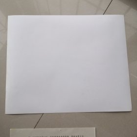 黑白老照片:1945年9月9日在南京举行的日本向中国战区投降的签字仪式。(编号56)