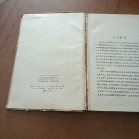 白求恩大夫 精装