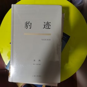 豹迹：与记忆有关