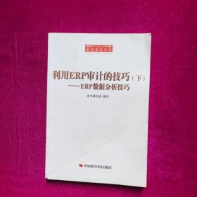 审计技巧丛书·利用ERP审计的技巧：ERP数据分析技巧（下）