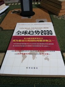 全球趋势2030：变换的世界