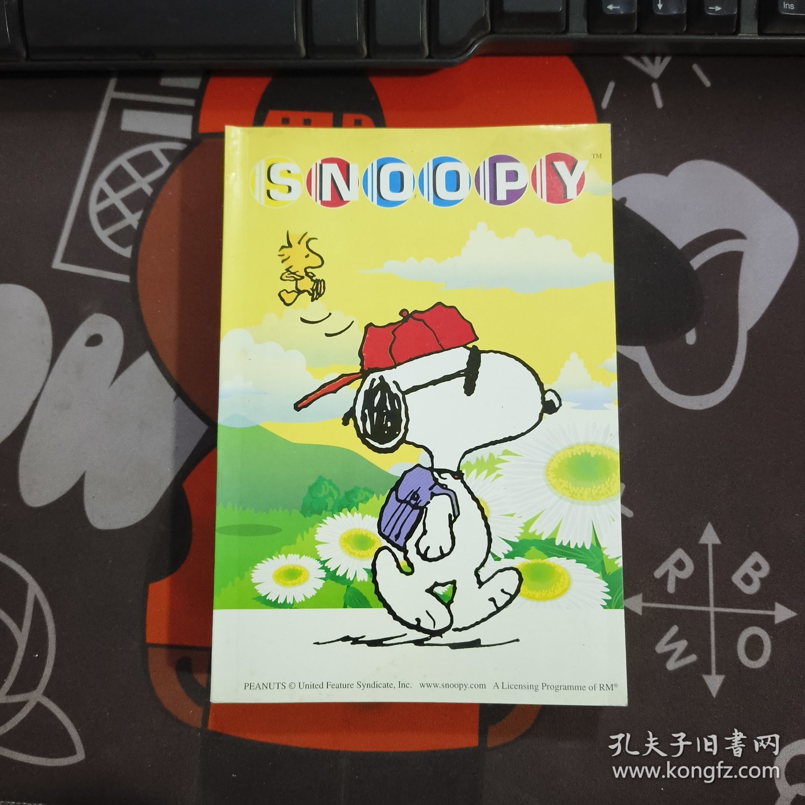 SNOOPY 史努比笔记本D027（每本32页10本合售）32开