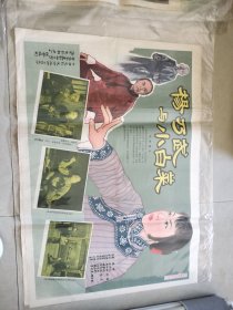 杨乃武与小白菜电影海报二开
