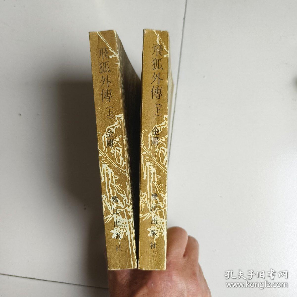 飞狐外传，《附雪山飞狐》