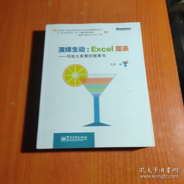 演绎生动：Excel图表：写给大家看的图表书