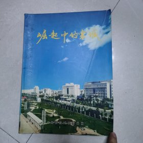 崛起中的襄城