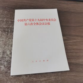 中国共产党第十九届中央委员会第六次全体会议公报（2021年六中全会公报）