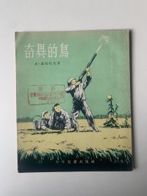 奇异的鸟