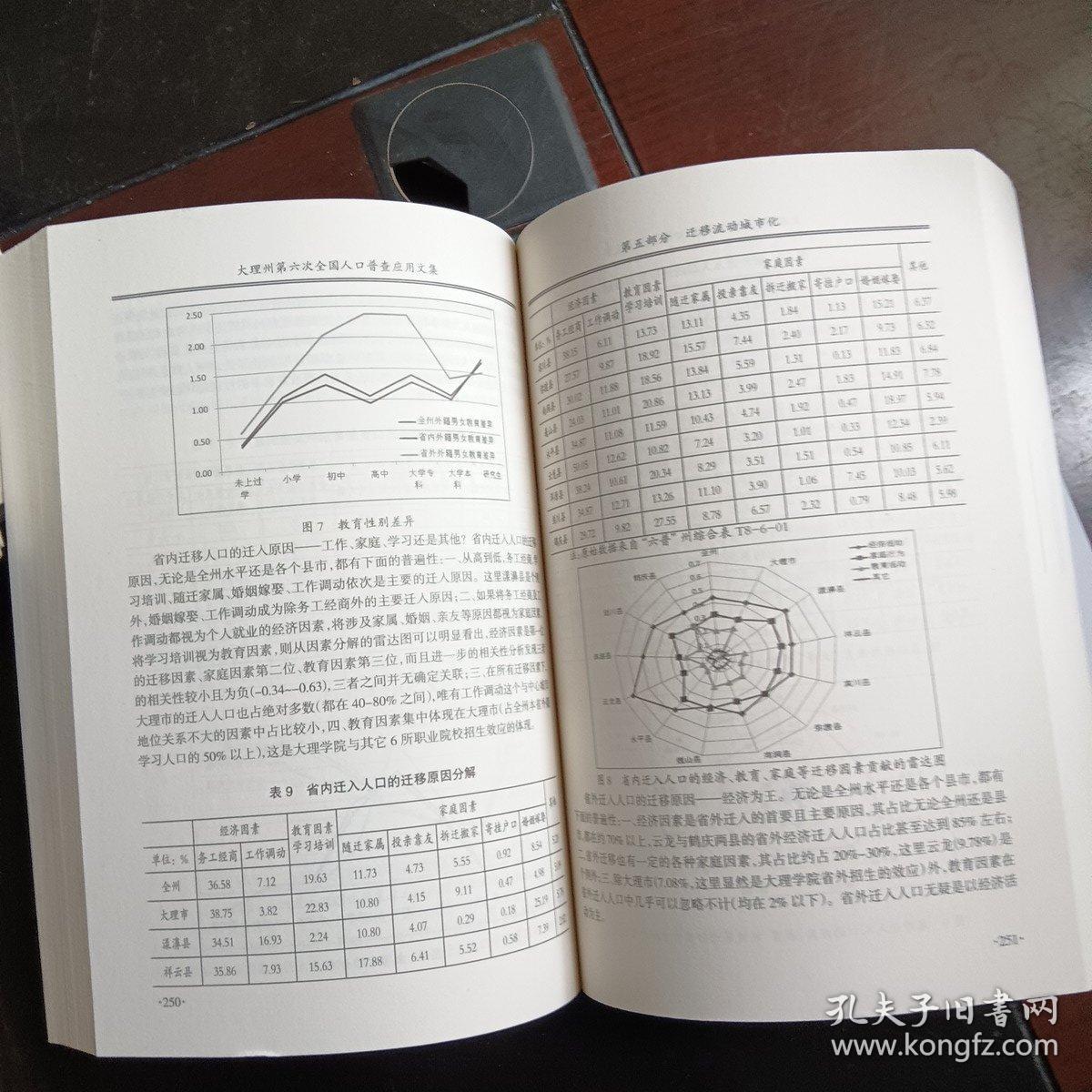 大理州第六次全国人口普查应用文集