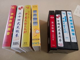 老录像带 民俗文化村留念 歌曲一起价格