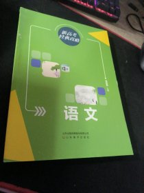 新高考经典攻略 语文 2022版