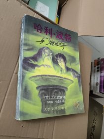 哈利·波特与混血王子