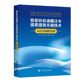 致密砂岩油藏注水提质提效关键技术——以红河油田为例 9787511470867