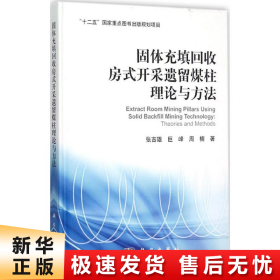 固体充填回收房式开采遗留煤柱理论与方法