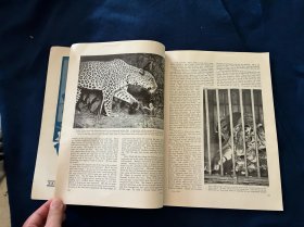 1926年6月亚细亚杂志:内容提要中国广州革命政府北伐战争,宋子文,汪精卫,广州新式妇女;中国道教;中国渔船