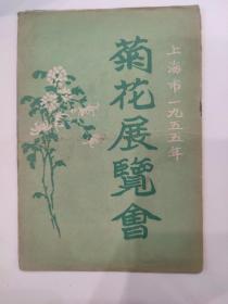 上海市1955年菊花展览会