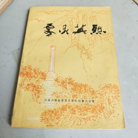 雾灵英烈