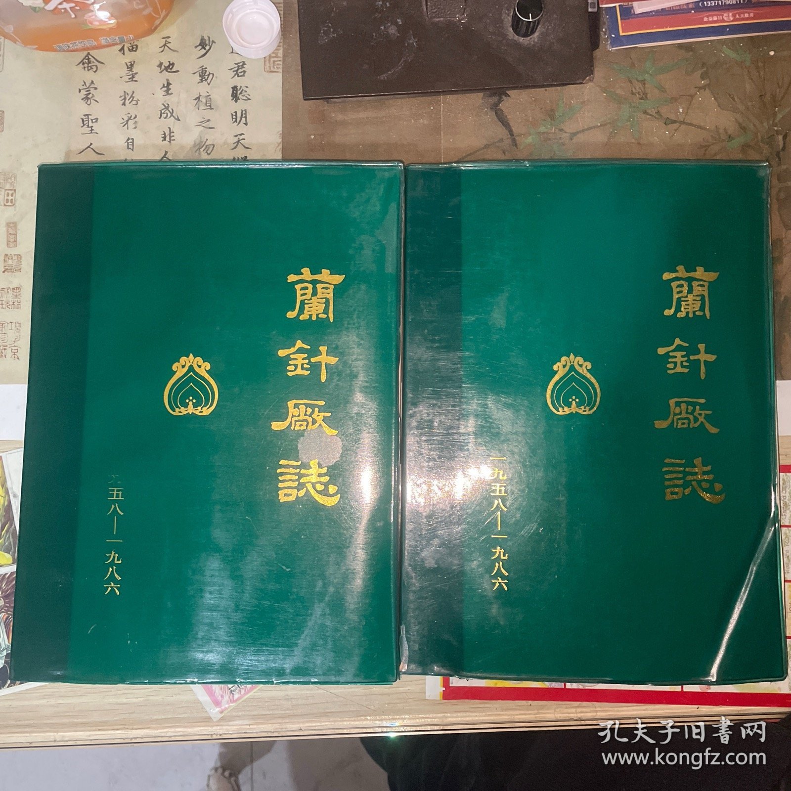 兰针厂志 上下册