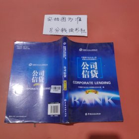 中国银行业从业人员资格考试教材：公司信贷（2013年版）