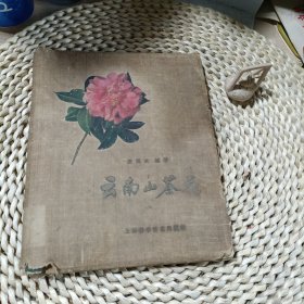 云南山茶花