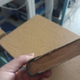 СОВРЕМЕННЫЙ АНГЛИЙСКИЙ ЯЗЫК，ТЕОРЕТИЧЕСКИЙ КУРС ГРАММАТИКИ，现代英语，理论语法课程——i7