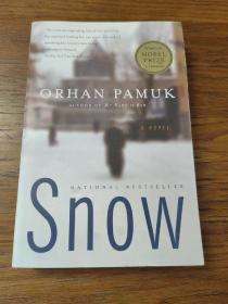 Snow (by Orhan Pamuk)