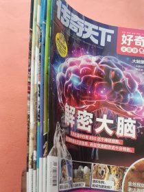传奇天下 好奇号【2024年】X星球 2/3/5/10期 上旬刊 Y世界 2/3/5/7期 中旬刊 8期合出