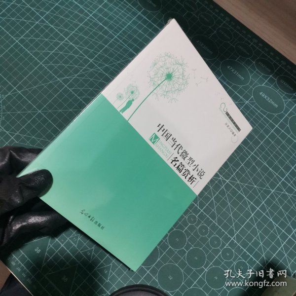 中国当代微型小说名篇赏析