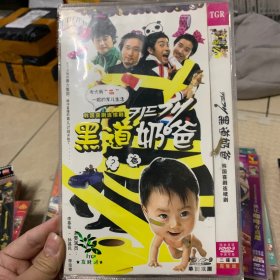 韩剧 黑道奶爸 DVD