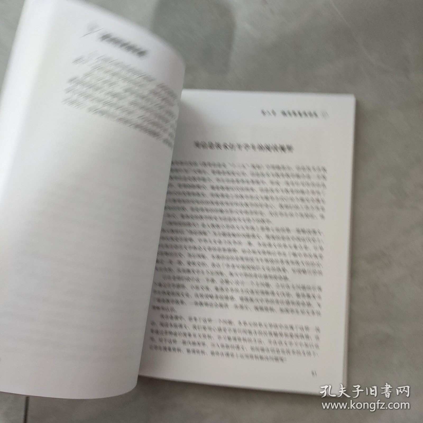童心行走语文路