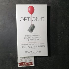 Option B: Facing Adversity, Building Resilience, and Finding Joy