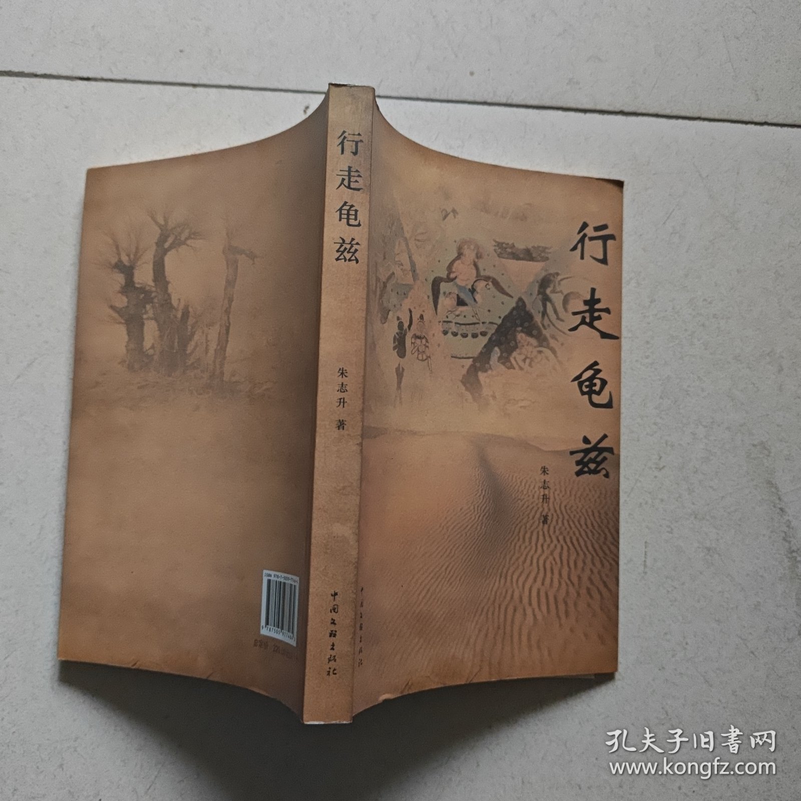 行走龟兹（作家视线丛书第12辑）