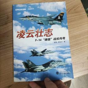 经典战史回眸·兵器系列·凌云壮志：F－14“雄猫”战机传奇