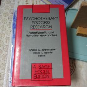 Psychotherapy process research: Paradigmatic and narrative approaches