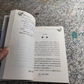 梦幻飞翔岛