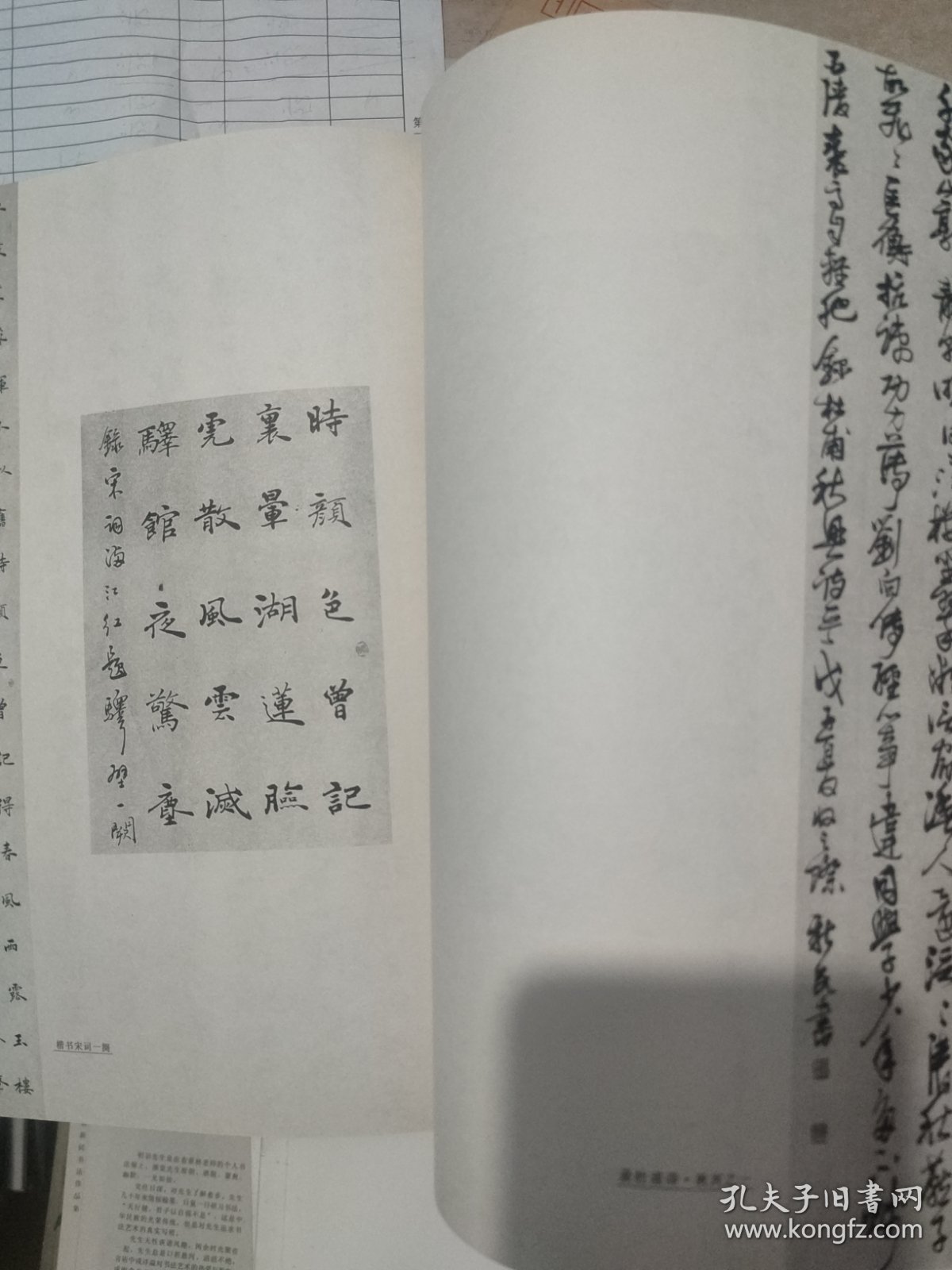 祁新民书法集