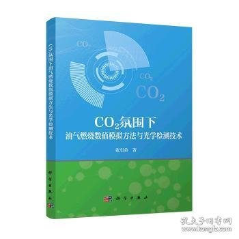 CO2氛围下油气燃烧数值模拟方法与光学检测技术