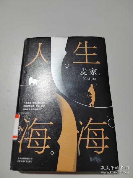 麦家：人生海海（茅盾文学奖得主麦家2019年强力之作）