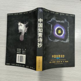 中国知青诗抄