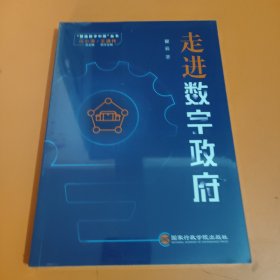 走进数字政府