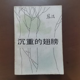 沉重的翅膀